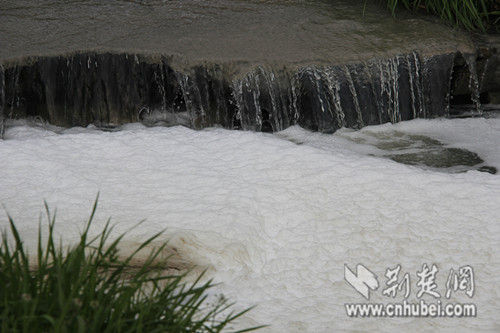 附近渔民20年没吃府河鱼 昔日河水清亮已不在