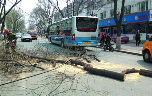 事故一度造成该路段暂时封闭记者张梦尧实习生朱迪摄